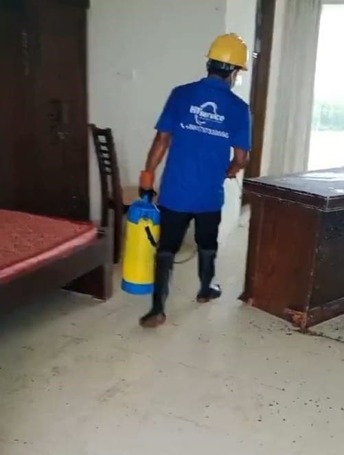 Furniture & Carpet Cleaning